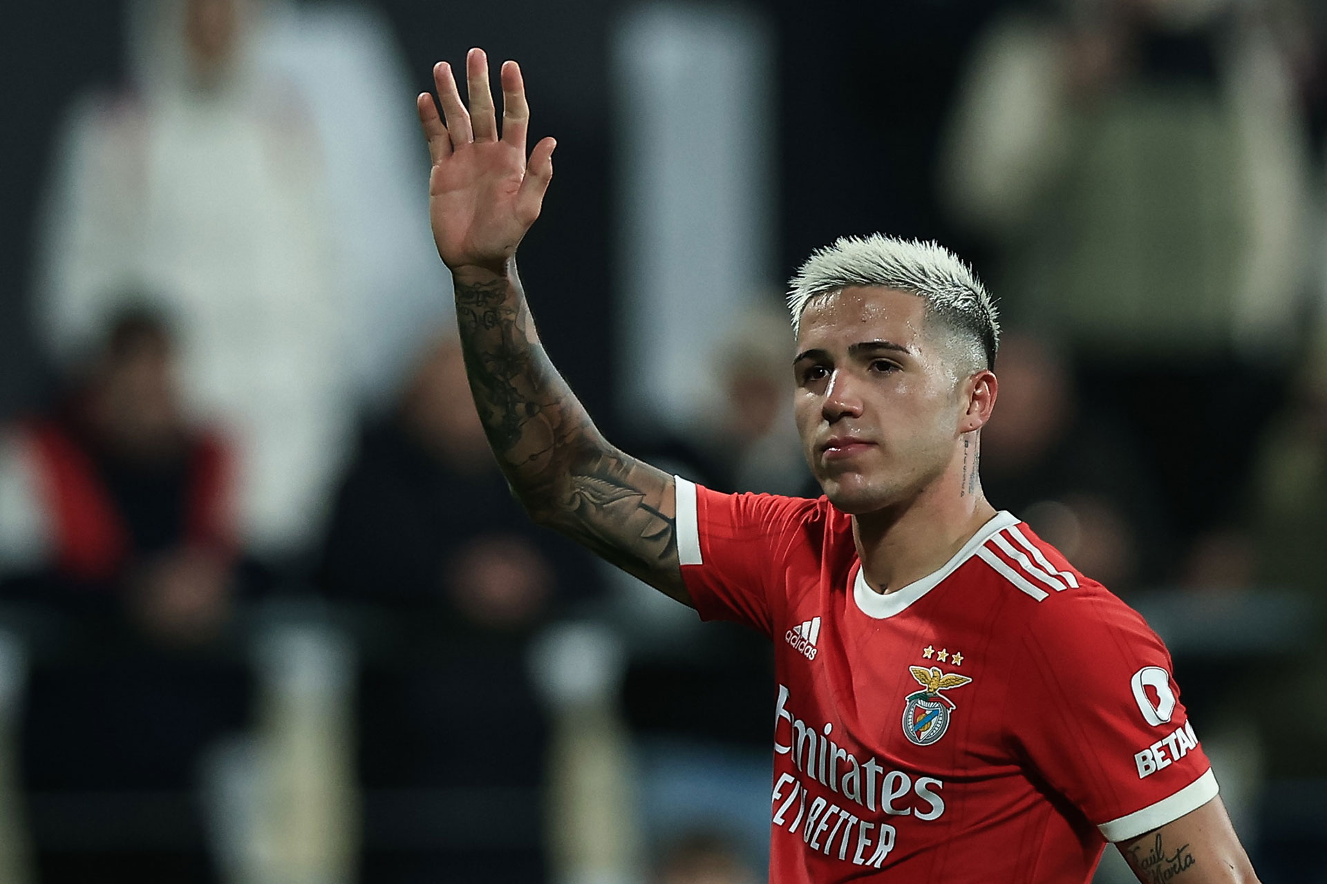 El Chelsea Ofreci Al Benfica Una Cifra Sideral Por Enzo Fern Ndez