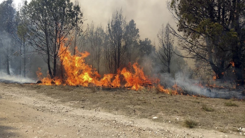 Reporte oficial por los incendios en Argentina Se registra fuego en