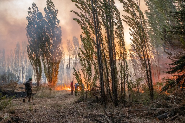 Reporte Oficial Por Los Incendios En Argentina Los Focos Del Sur