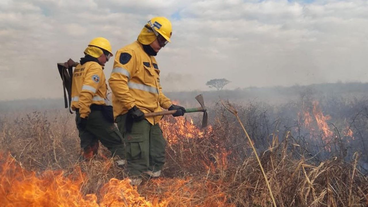 Reporte Oficial Por Los Incendios En Argentina Se Registra Un Nuevo