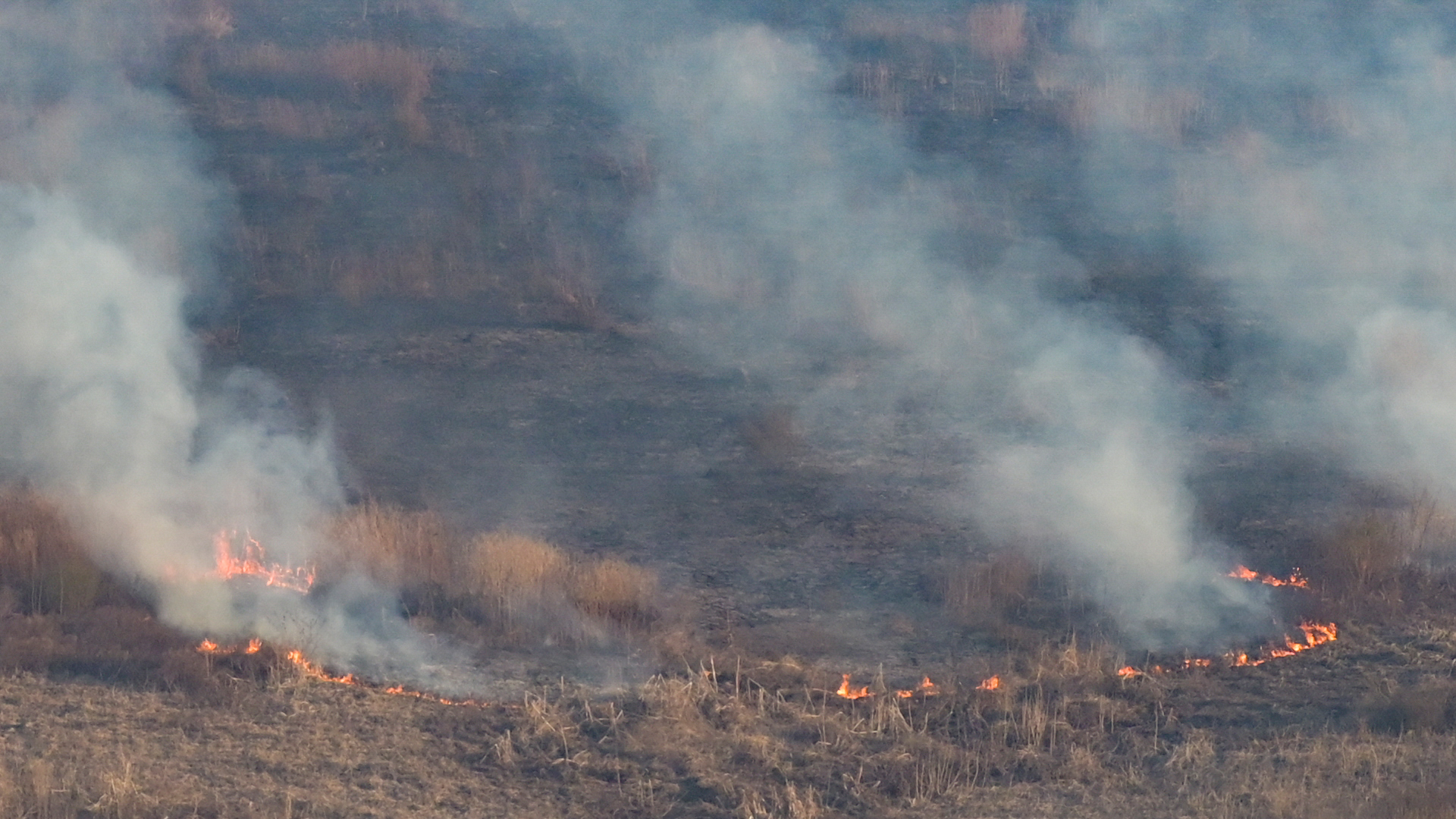 Reporte Oficial Por Los Incendios En Argentina Combaten Focos Activos