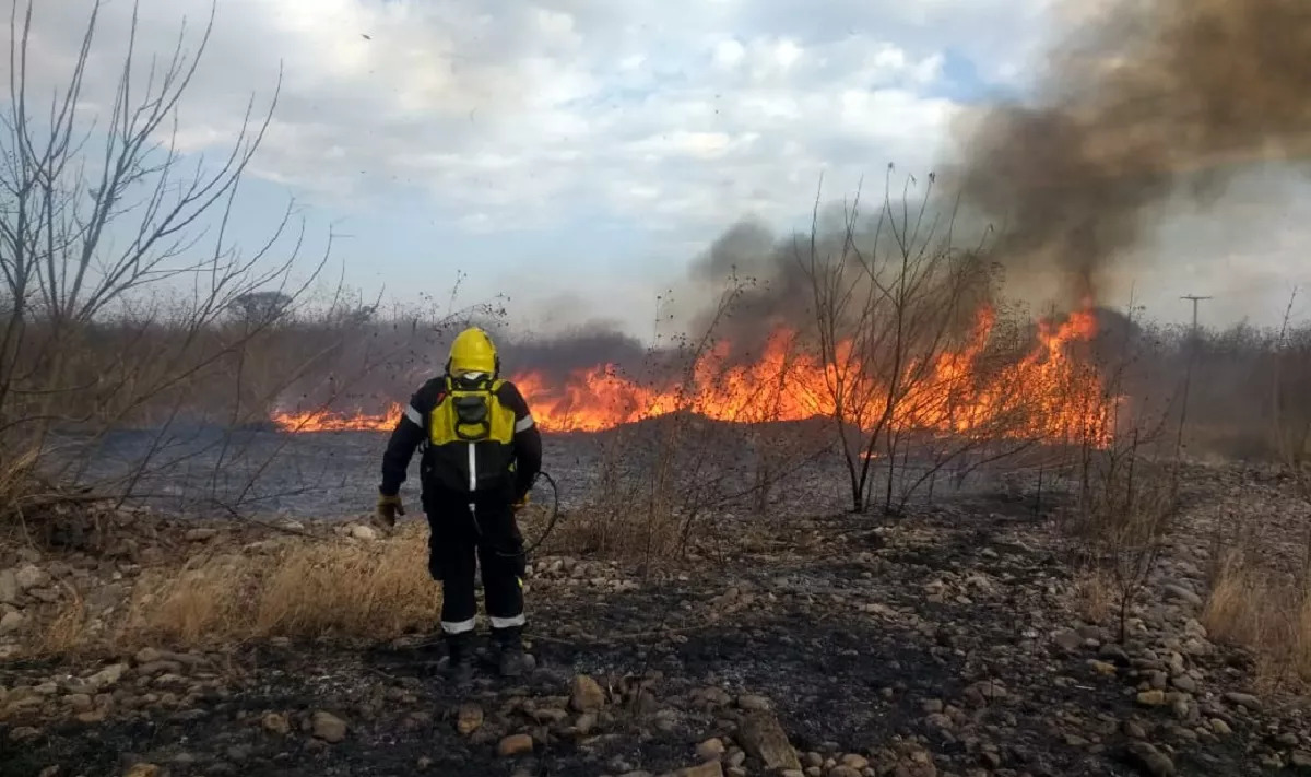 reporte oficial por los incendios en argentina continúan los focos en