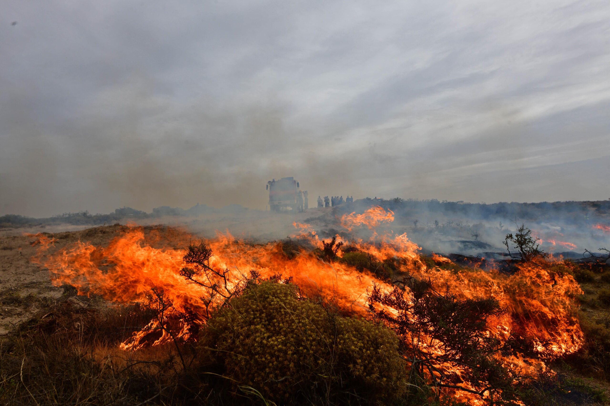 Reporte Oficial Por Los Incendios En Argentina Suman Siete Provincias